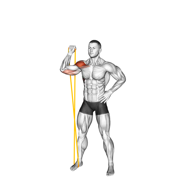 Resistance Band Single Arm Overhead Shoulder Press exercise animation (Male)