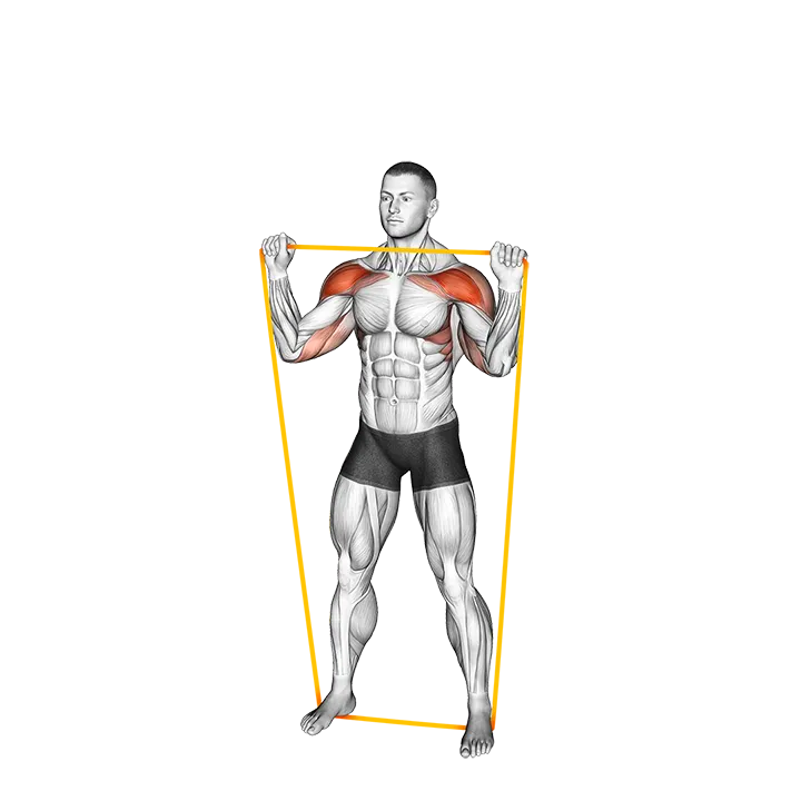 Resistance Band Overhead Shoulder Press exercise animation (Male)