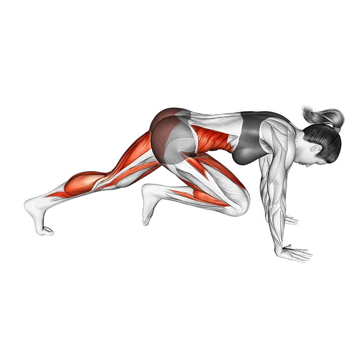 Mountain Climber (VERSION 2) exercise animation (Female)