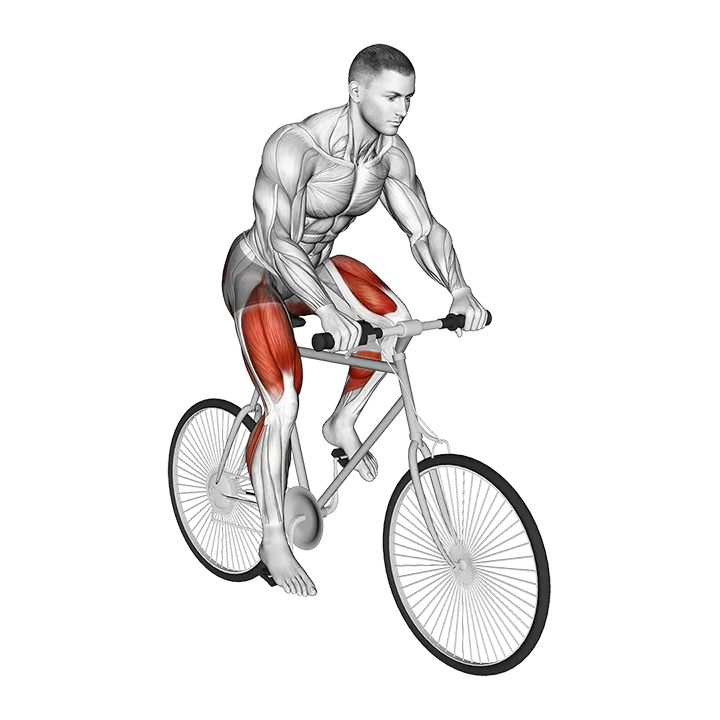 Riding Outdoor Bicycle exercise animation (Male)