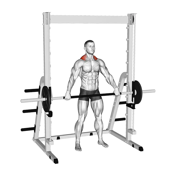 Smith Wide Shrug exercise animation (Male)
