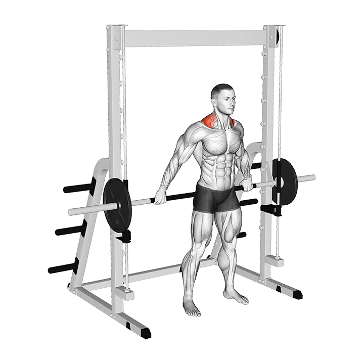 Smith Back Wide Shrug exercise animation (Männlich)