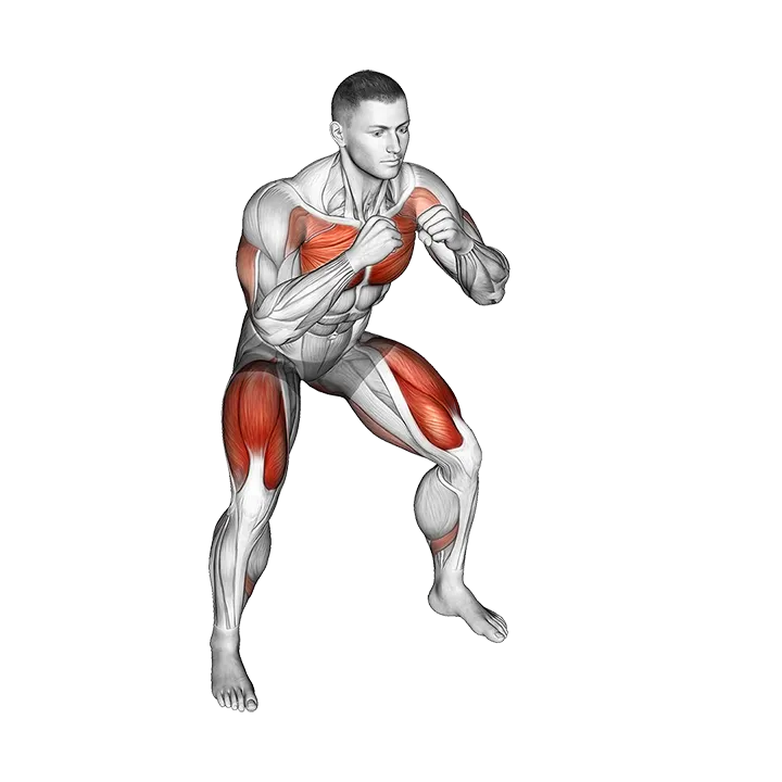 Cross Body Punch in Squat Position exercise animation (Male)