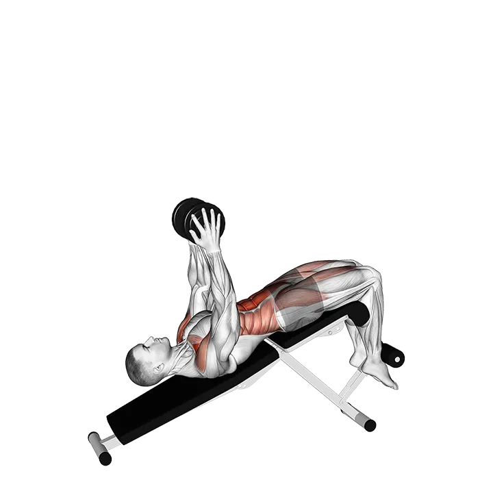 Single Dumbbell Decline Overhead Sit-up exercise animation (Male)