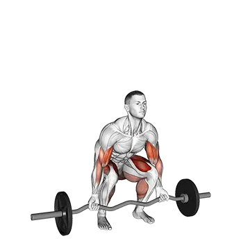 EZ-bar Deadlift with Biceps Curl