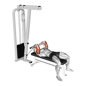 Cable Lying Triceps Extension (Low)