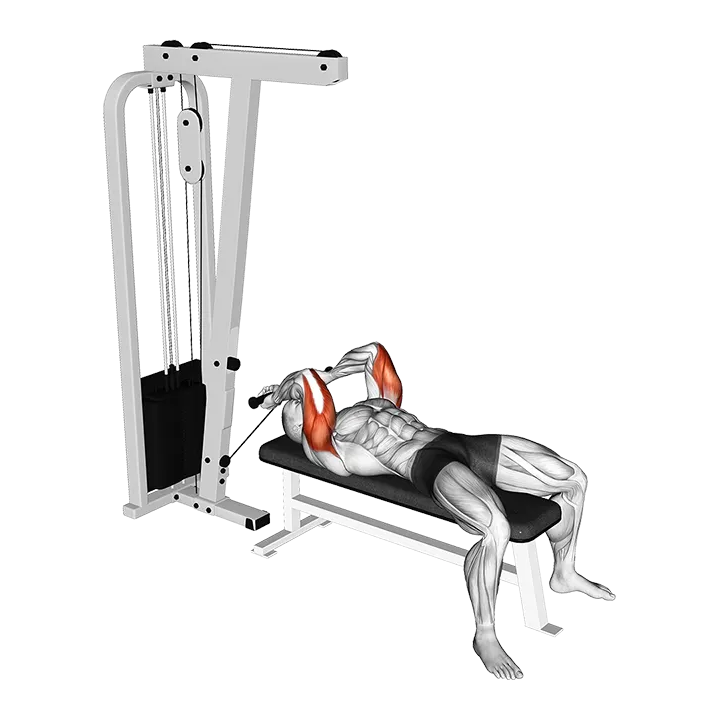Cable Lying Triceps Extension (Low) exercise animation (Male)