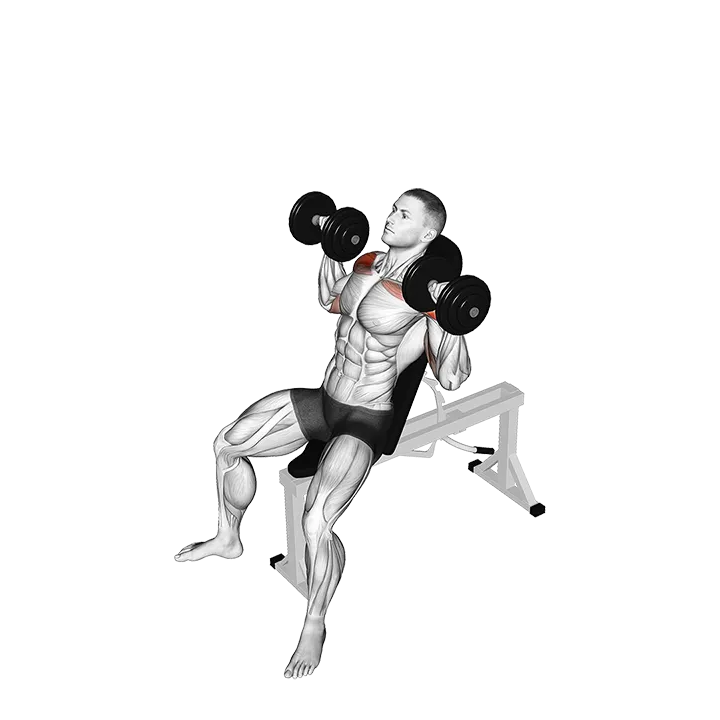 Dumbbell Incline Shoulders Press exercise animation (Male)