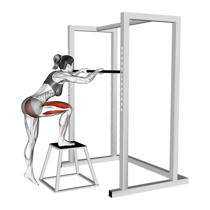 Bodyweight Glute Dominant Step-Up exercise animation (Female)