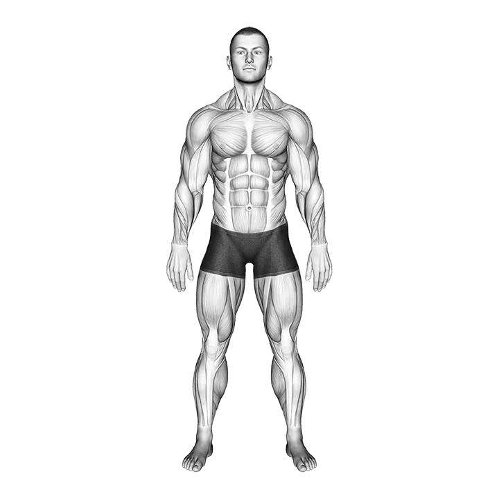 Standing Hands Position (Pronation-Supination-Neutral) exercise animation (Male)