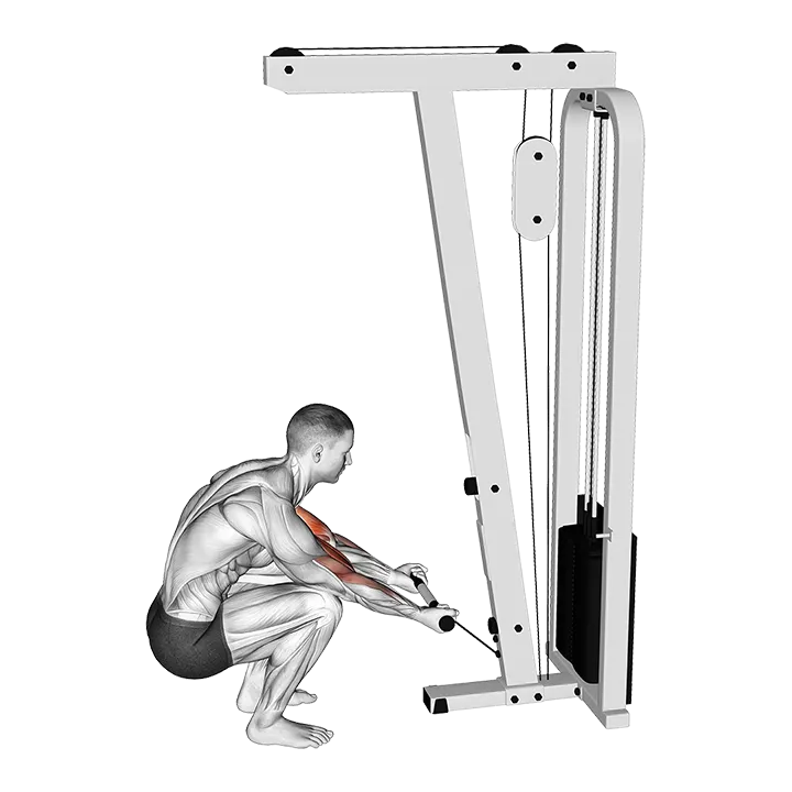 Cable Kneeling Preacher Curl exercise animation (Hombre)