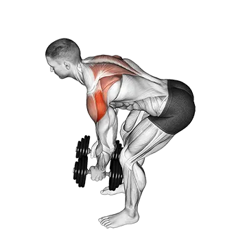 Dumbbell Rear Delt Fly (45 degrees)