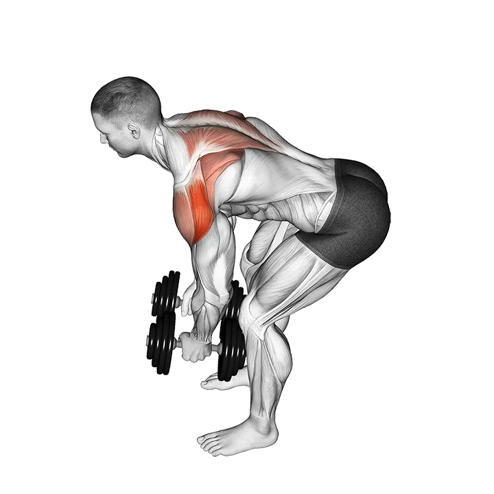 Dumbbell Rear Delt Fly (45 degrees) exercise animation (Male)