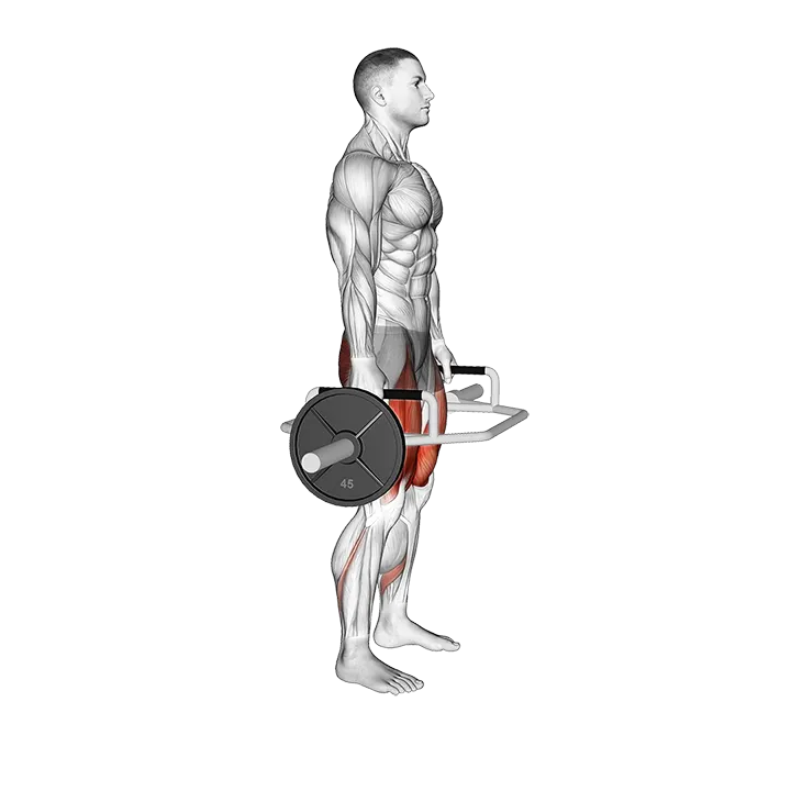 Trap Bar Squat exercise animation (Male)