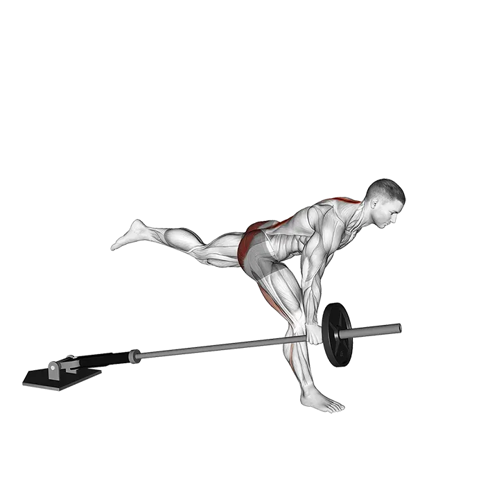 Landmine One Leg Stiff Leg Deadlift exercise animation (Male)