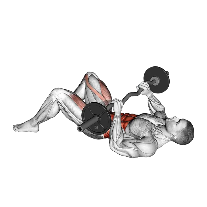 EZ-Bar Russian Twist Sit-up exercise animation (Male)