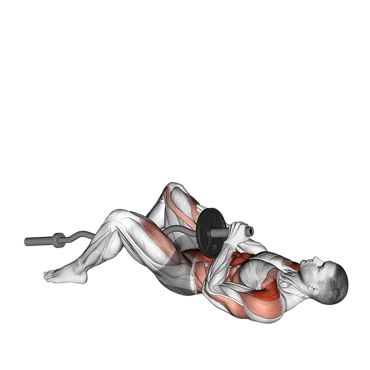 EZ-Bar Shoulder Press Sit-up exercise animation (Male)