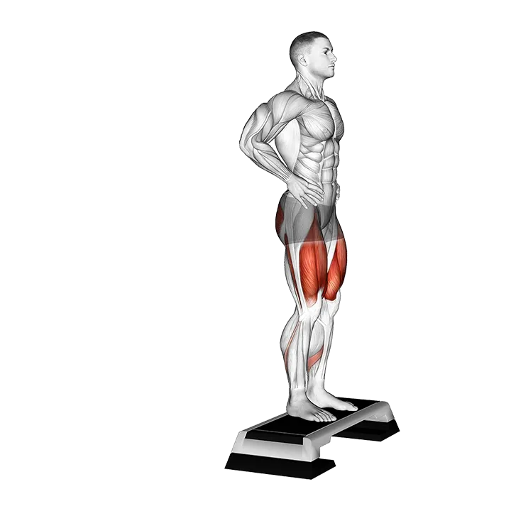 Rear Lunge from Deficit exercise animation (Male)