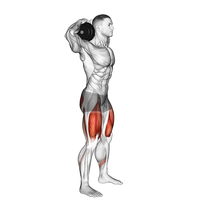 Dumbbell Good Morning Squat exercise animation (Male)