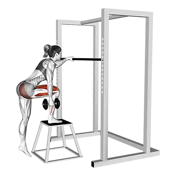 Dumbbell Glute Dominant Step-Up