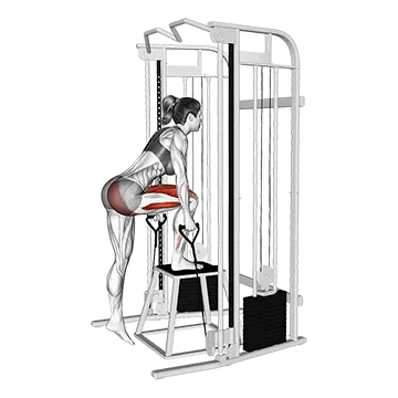 Cable Glute Dominant Step-Up