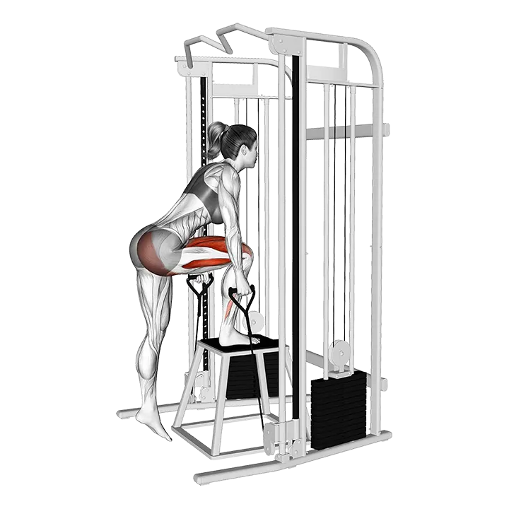 Cable Glute Dominant Step-Up exercise animation (Female)