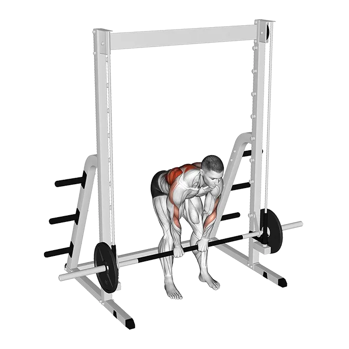 Smith Bent Over Narrow Pronated Grip Row exercise animation (Male)