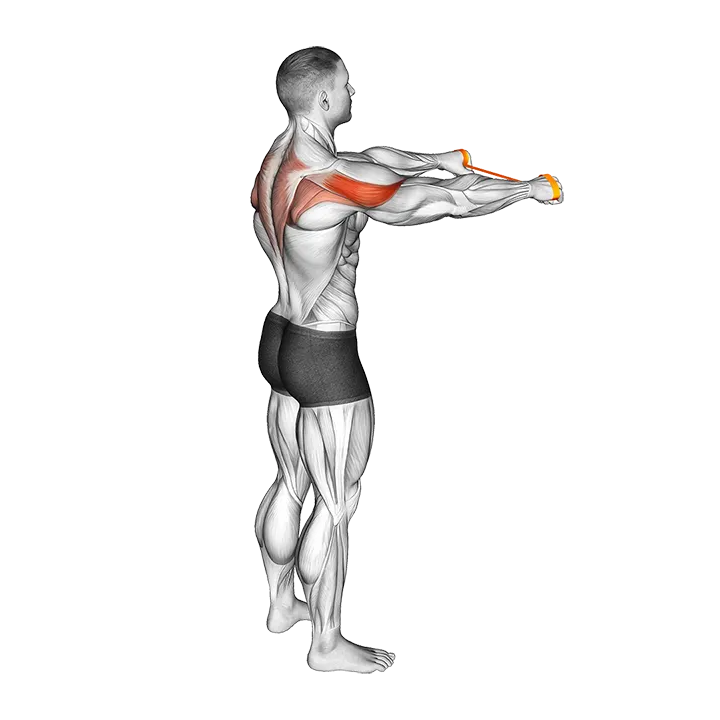 Resistance Band Pull Apart (45 degrees) exercise animation (Male)