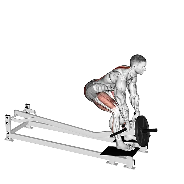 Lever T-bar Romanian Deadlift exercise animation (Male)