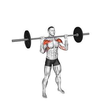 Barbell Standing Shoulders Press