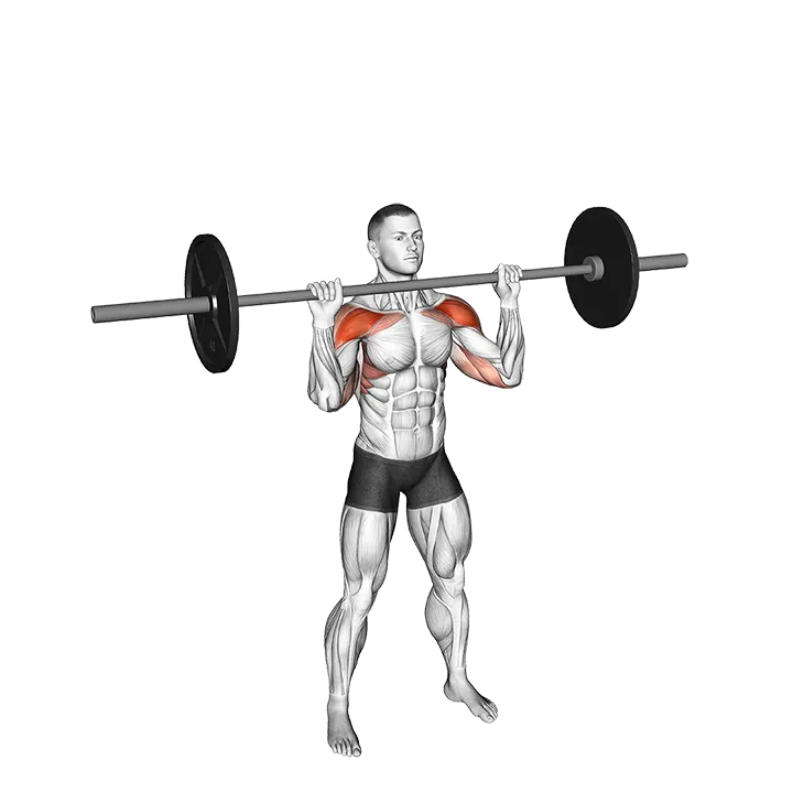 Barbell Standing Shoulders Press exercise animation (Male)