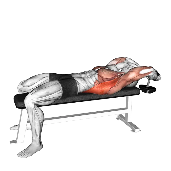 Dumbbell Pullover (VERSION 2) exercise animation (Male)