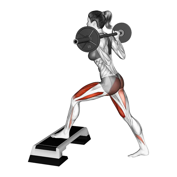 Barbell Elevated Split Squat exercise animation (Female)