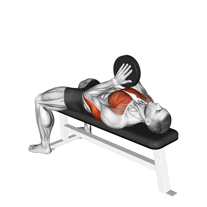 Weighted Svend Bench Press exercise animation (Männlich)