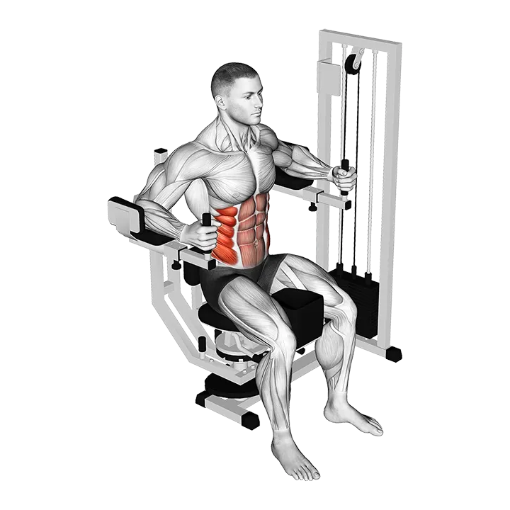 Lever Trunk Rotation exercise animation (Male)
