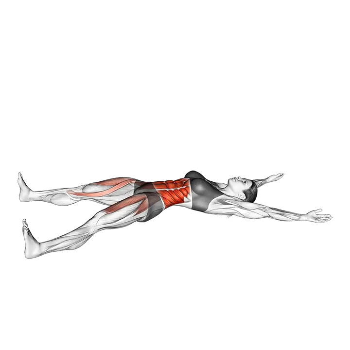 Cross Twisting Sit-up (VERSION 2) exercise animation (Female)