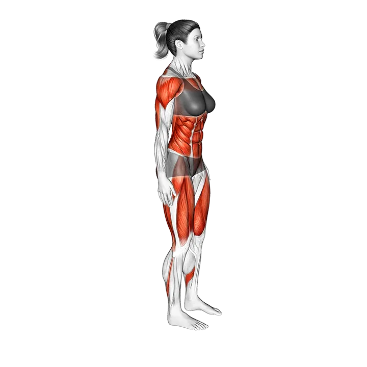 Burpee Push-up Mountain Climber Complex exercise animation (Male)