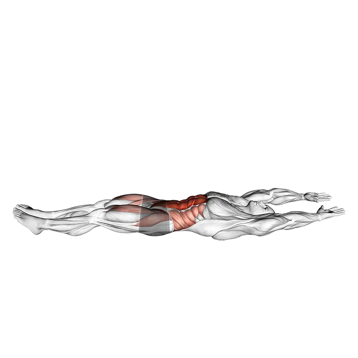 V-up Hold exercise animation (Male)