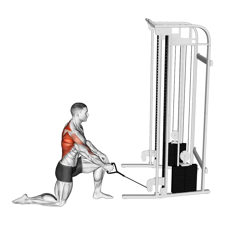 Cable Kneeling One Arm Row exercise animation (Male)
