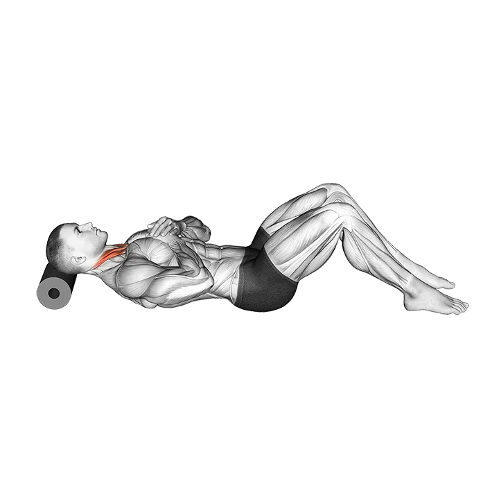 Roll Neck Decompress Lying on Floor exercise animation (Male)