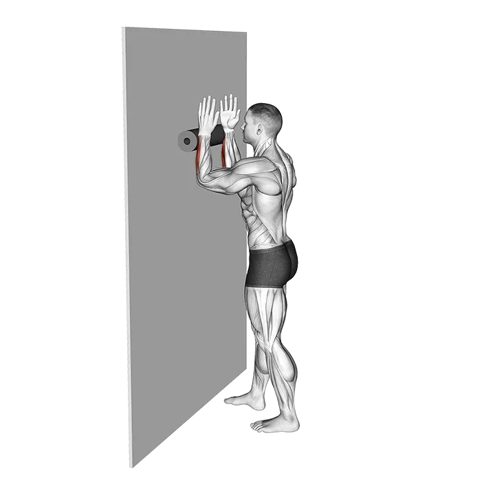 Roll Forearms Standing Against Wall exercise animation (Hombre)