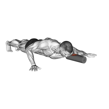 Roll Biceps Lying on Floor