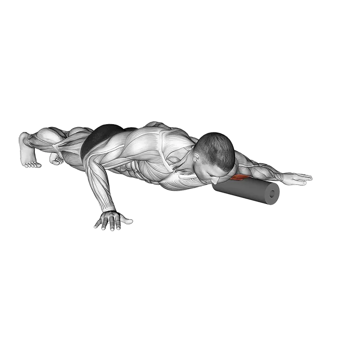 Roll Biceps Lying on Floor exercise animation (Männlich)