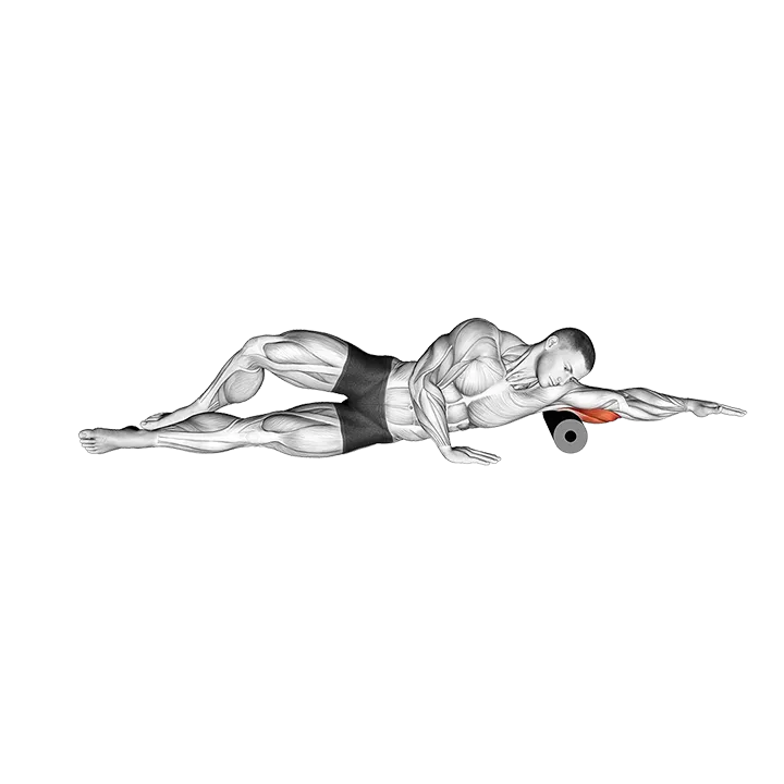 Roll Triceps Side Lying on Floor exercise animation (Hombre)