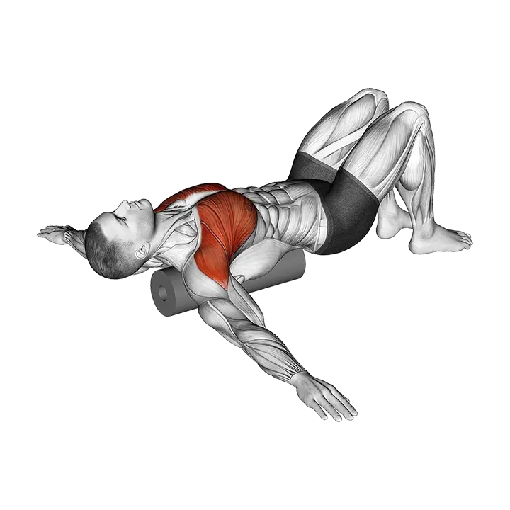 Roll Chest Opener Lying on Floor exercise animation (Male)