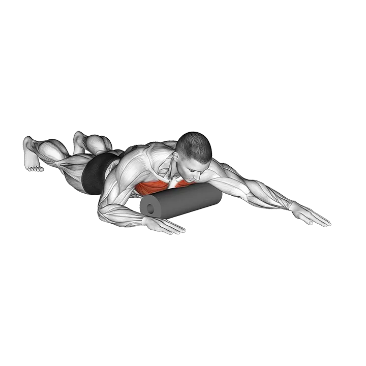 Roll Chest Lying on Floor exercise animation (Male)