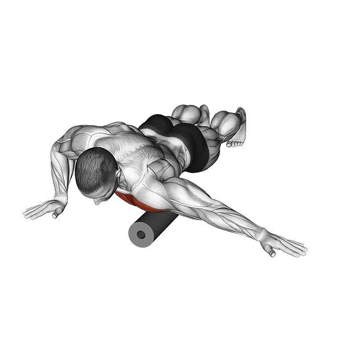 Roll Front Shoulder and Chest Lying on Floor exercise animation (Male)