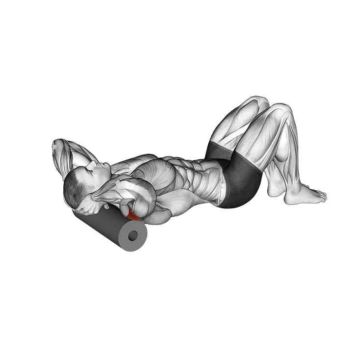 Roll Shoulder Back Rotation Lying on Floor exercise animation (Male)