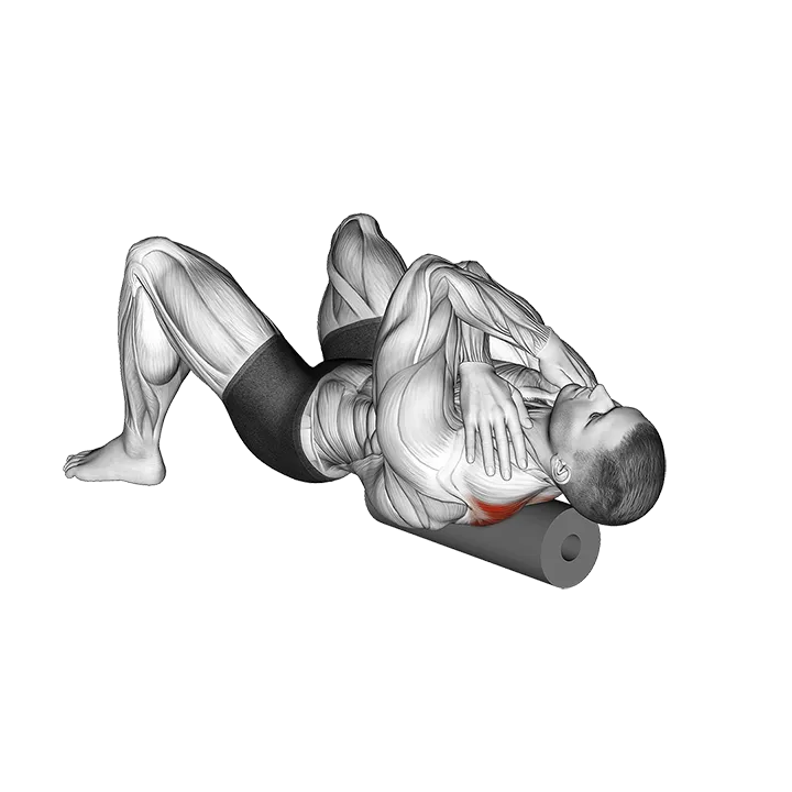 Roll Rhomboids exercise animation (Male)