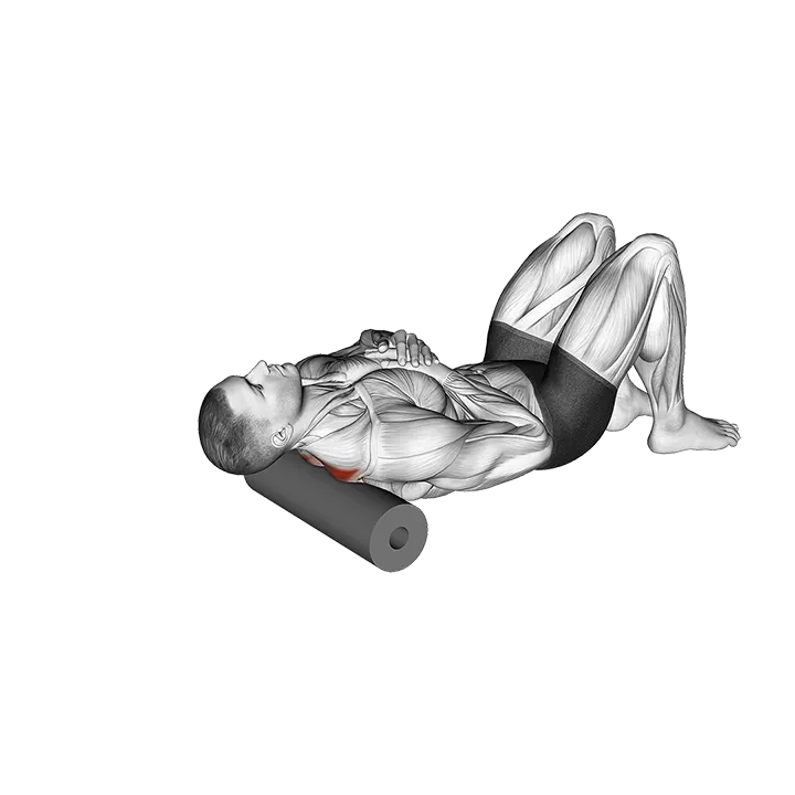 Roll Middle Back Lying on Floor exercise animation (Male)